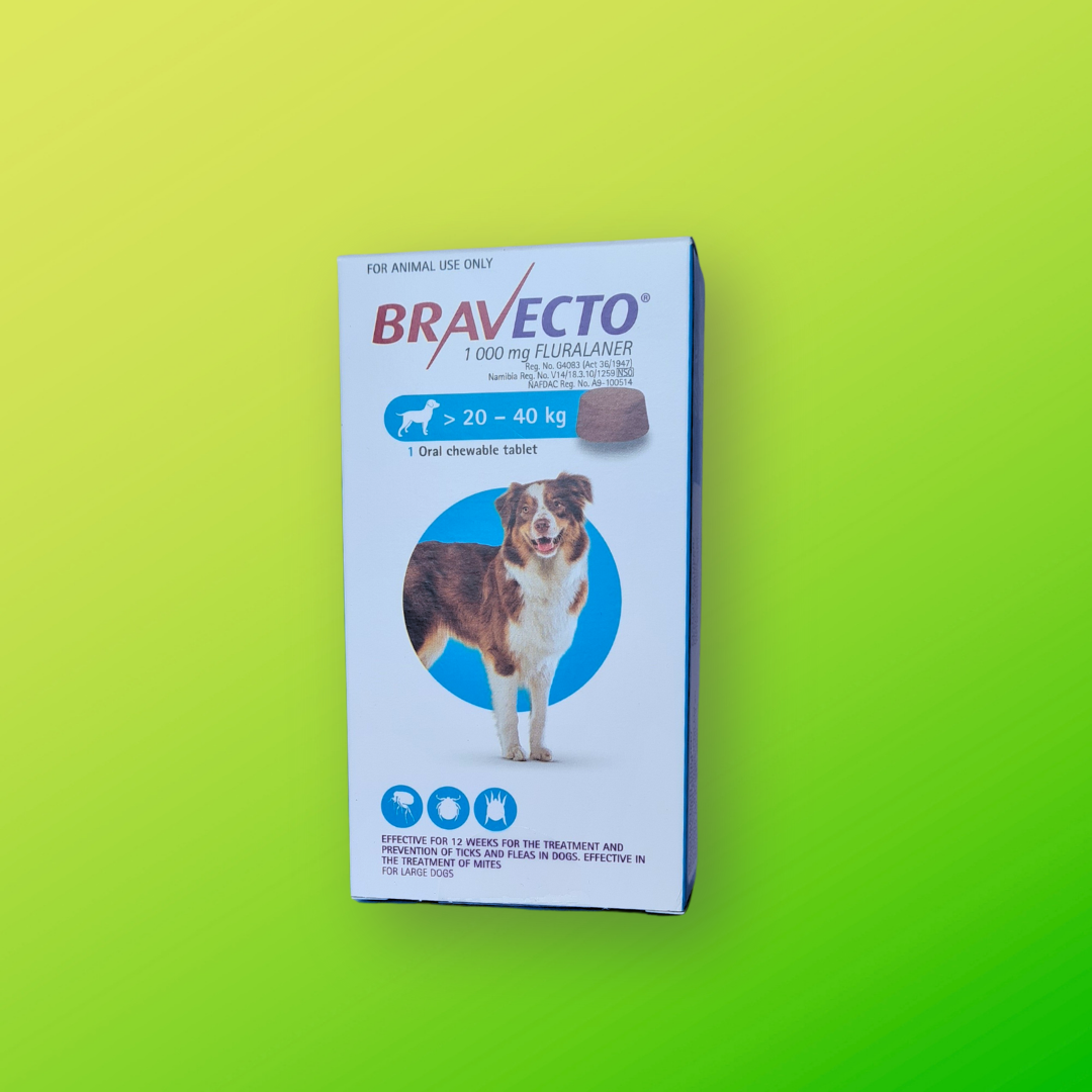 Bravecto for dogs fashion